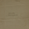 niebieskoszary papier, odręcznie czarnym atramentem: motto w prawym górnym rogu, pośrodku tytuł