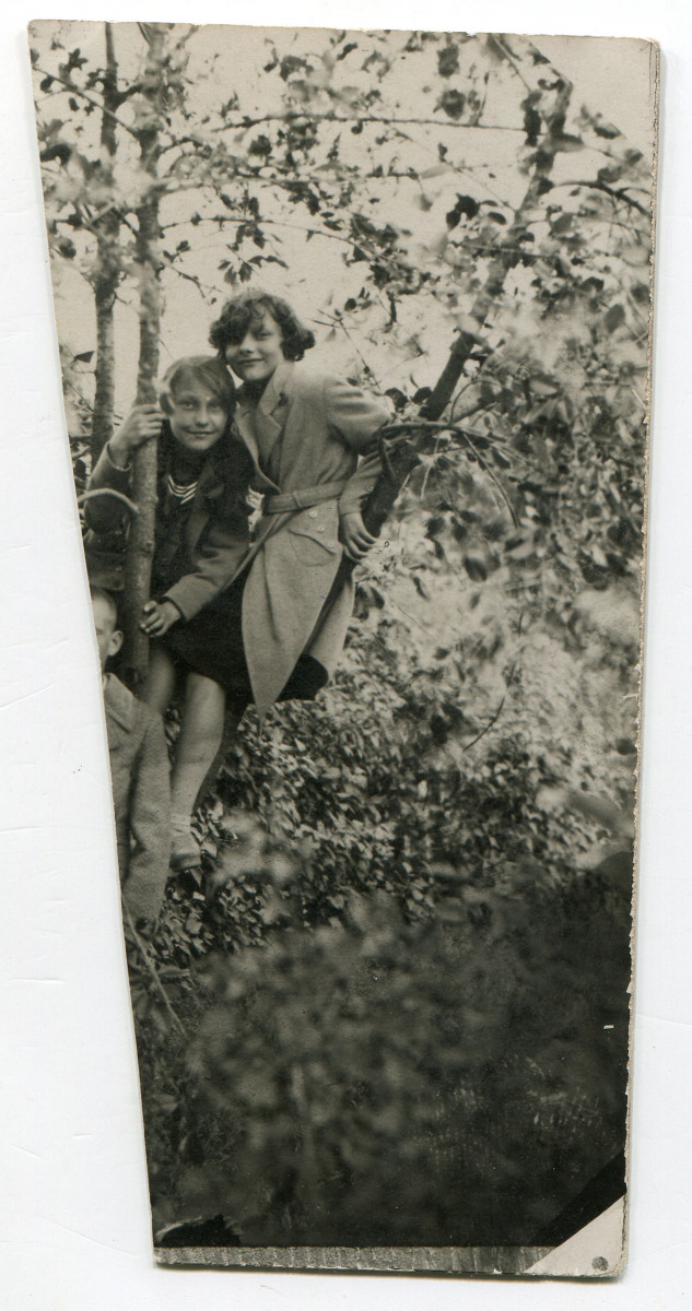 Dwie dziewczynki około 11 lat, siedzące na drzewie, poniżej z lewej fragment głowy chłopca