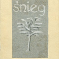 na kremowym papierze szary kartonik z odręcznym białym tytułem i rysunkiem ośnieżonego drzewa